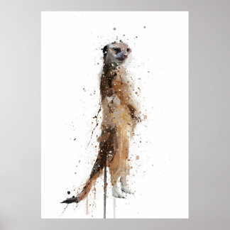 Poster Meerkat