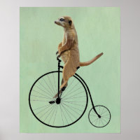 Meerkat sur Black Penny Farthing