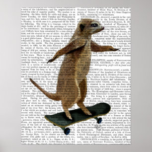 Poster Meerkat Sur Skateboard
