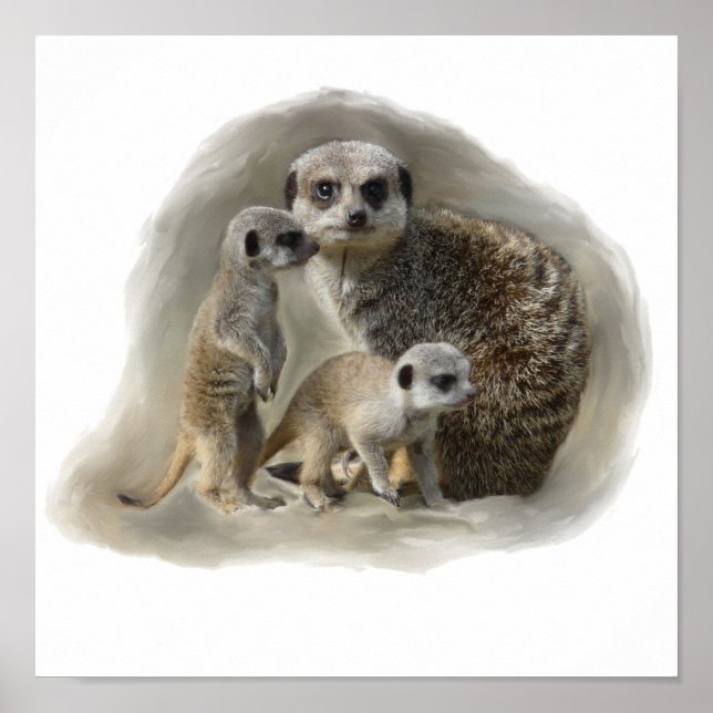 Poster meerkats (Devant)