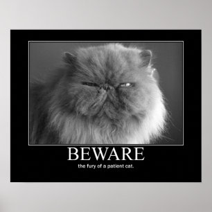 Poster Méfiez-vous de la fureur d'un chat patient