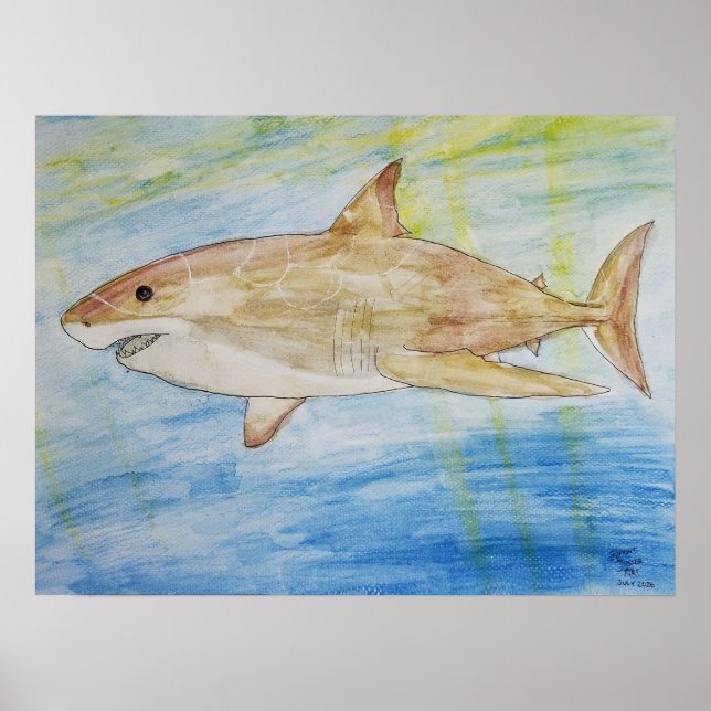 Poster Megalodon (Devant)