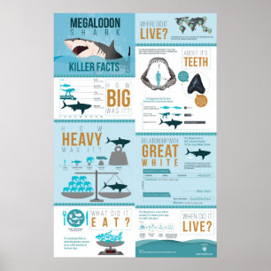 Poster Megalodon Shark - Killer Facts! 24x36"