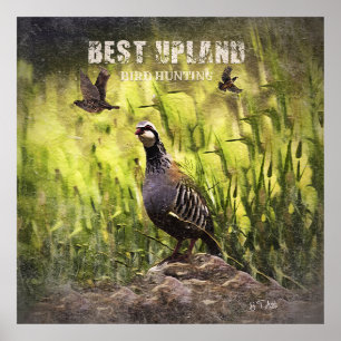 Poster Meilleure chasse aux oiseaux des hautes terres