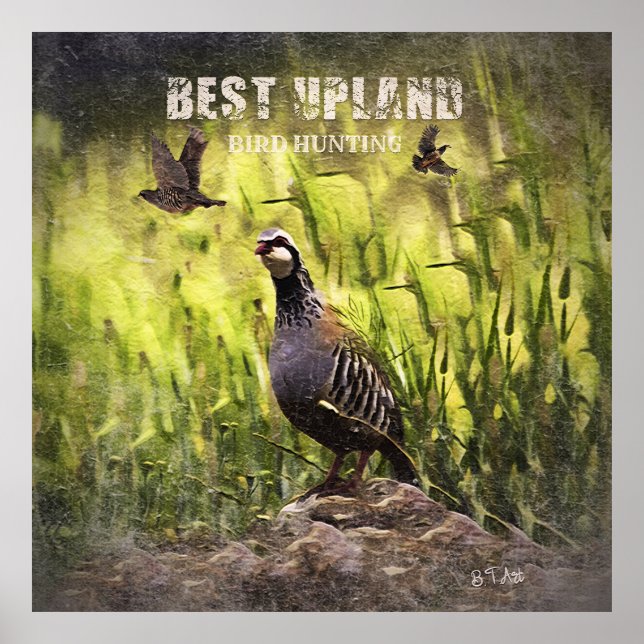 Poster Meilleure chasse aux oiseaux des hautes terres (Devant)