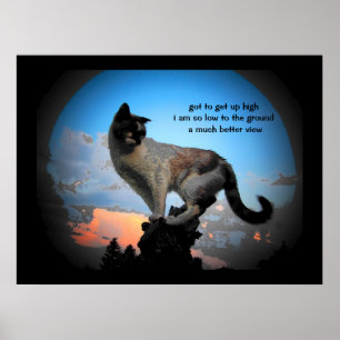 Poster Meilleure vue Chat Haiku