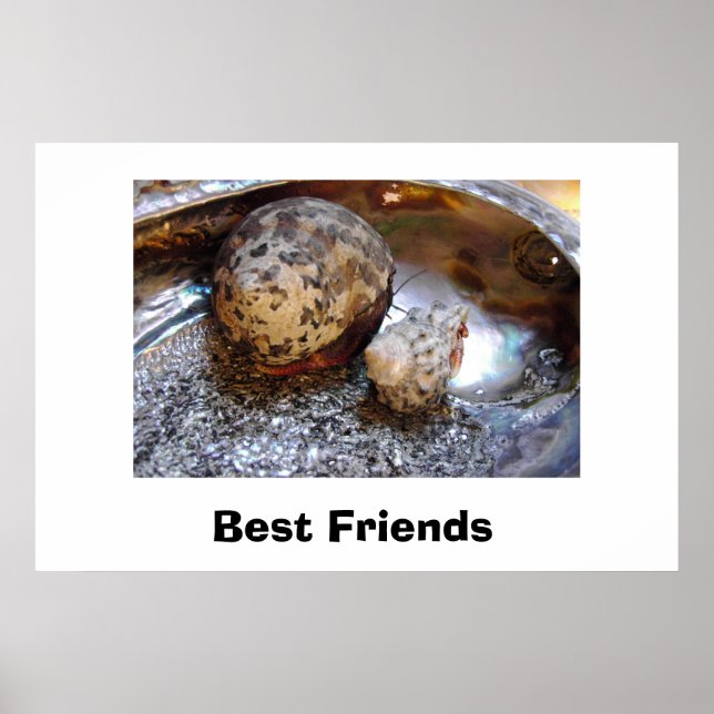 Poster Meilleurs amis (Devant)