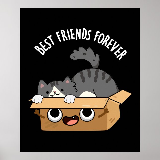 Poster Meilleurs Amis Pour Toujours Drôle Chat Et Boîte P (Devant)
