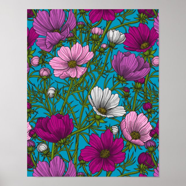 Poster Mélange cosmos bleu (Devant)