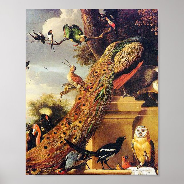Poster Melchior d'Hondécoeter - Oiseaux dans un parc (Devant)