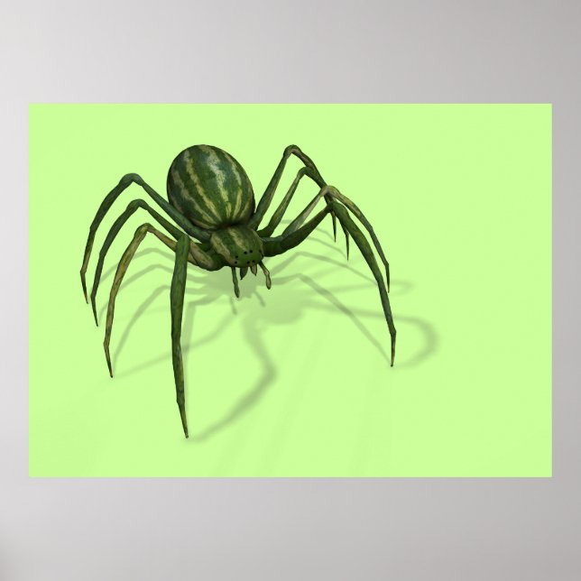 Poster Melon Spider (Devant)