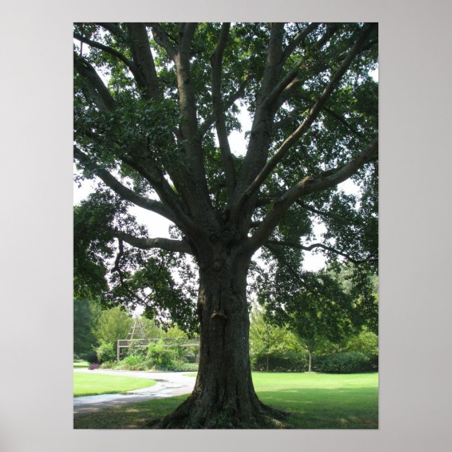 Poster Membres (Devant)