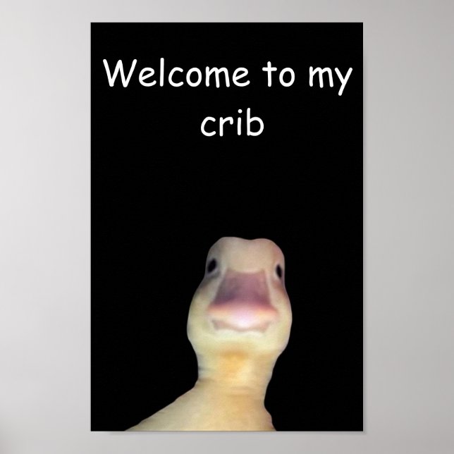 Poster Mème de canard drôle : Bienvenue à My Crib Duck (Devant)