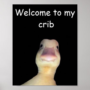 Poster Mème de canard drôle – “Bienvenue dans mon antre” 