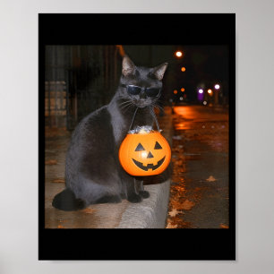 Poster Mème de chat de citrouille drôle trick or treat ha