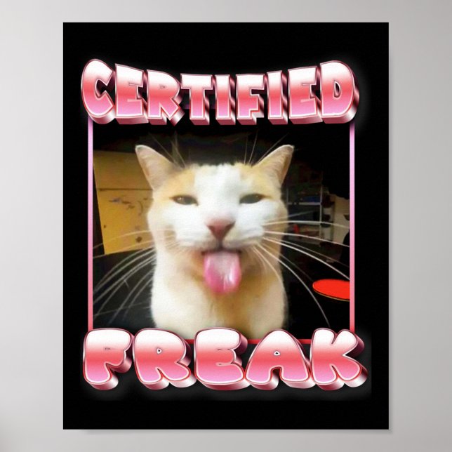 Poster Mème de chat drôle - Mème de chat factice certifié (Devant)