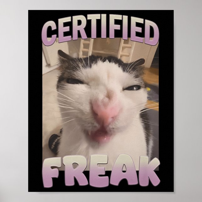 Poster Mème de chat Freak Certifié Mèmes Offensifs Funn (Devant)