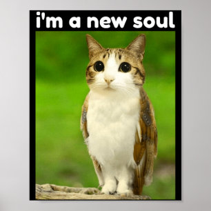 Poster Mème de chat mignon Meowl Brainrot Chouette