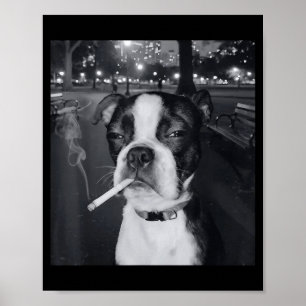Poster Mème de chien qui fume drôle Cigarette Mème de chi
