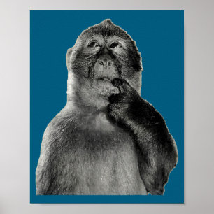 Poster Mème de singe drôle avec style d'art humoristique