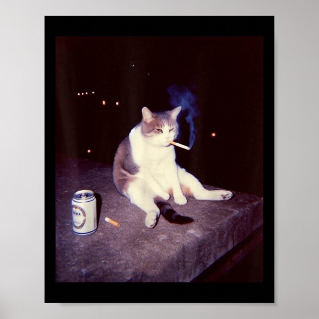 Poster Mème Fumeur Drôle Cigarette Kitten Brainrot Silly (Devant)