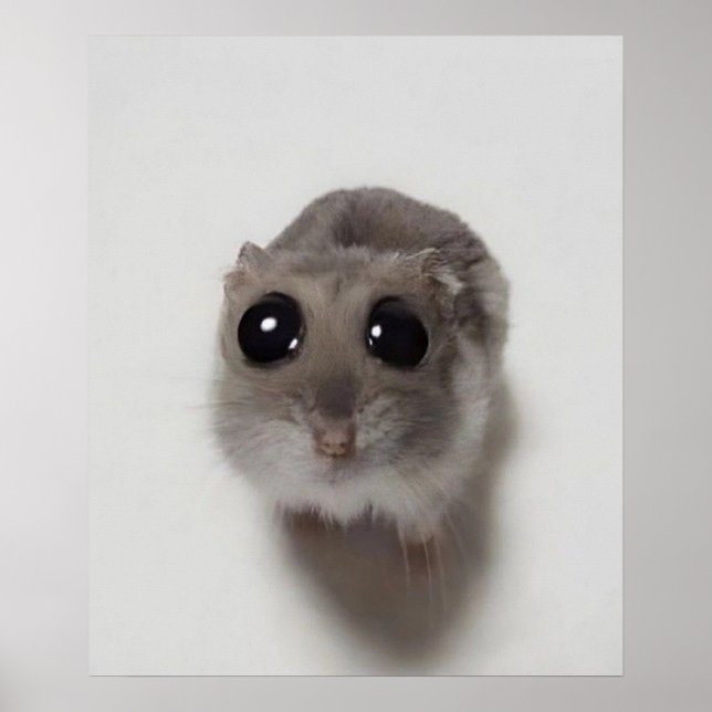 Poster mème, hamster, mème de hamster, hamster triste, dr (Devant)