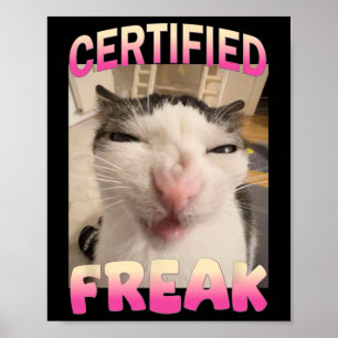 Poster Mème Offensive Mèmes de félin Freak Certifié Mat D