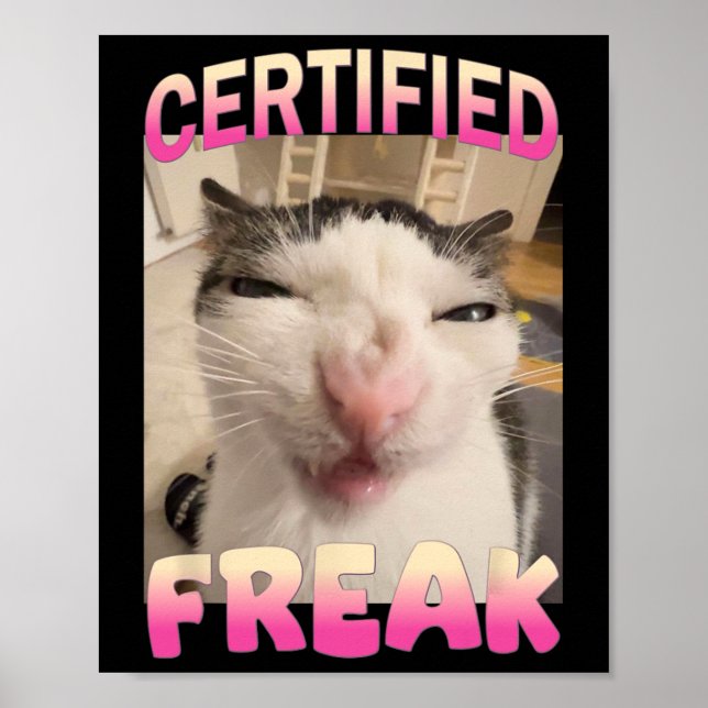Poster Mème Offensive Mèmes de félin Freak Certifié Mat D (Devant)