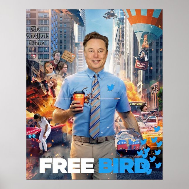 Poster MEME OISEAU GRATUITE - Elon, Twitter, Oiseau gratu (Devant)