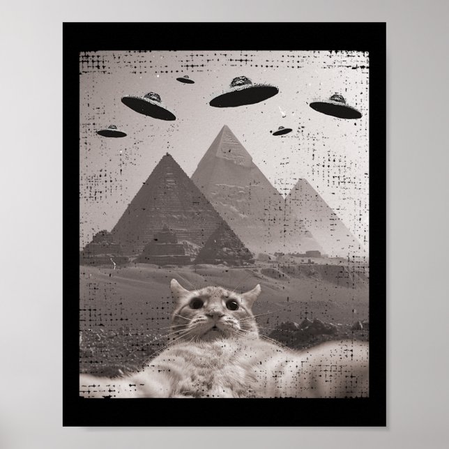Poster Mème Ufo Chat - Selfie Chat Drôle Avec Ufos (Devant)