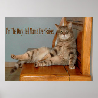 Poster Mèmes animaux amusants Mèmes chats Mèmes photos hu