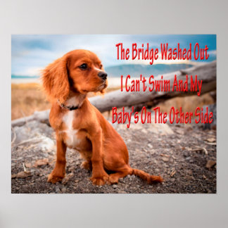 Poster Mèmes animaux amusants Mèmes chiens Photos humoris
