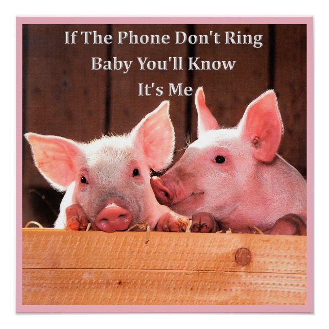 Poster Mèmes de cochon amusants avec des paroles et des c (Devant)
