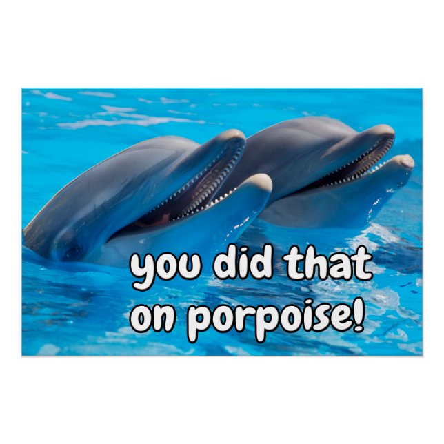 Poster Mèmes de marsouin drôle Porpoise amusant Citations (Devant)