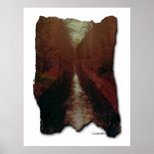 Poster Mémoire d'un canal (Devant)