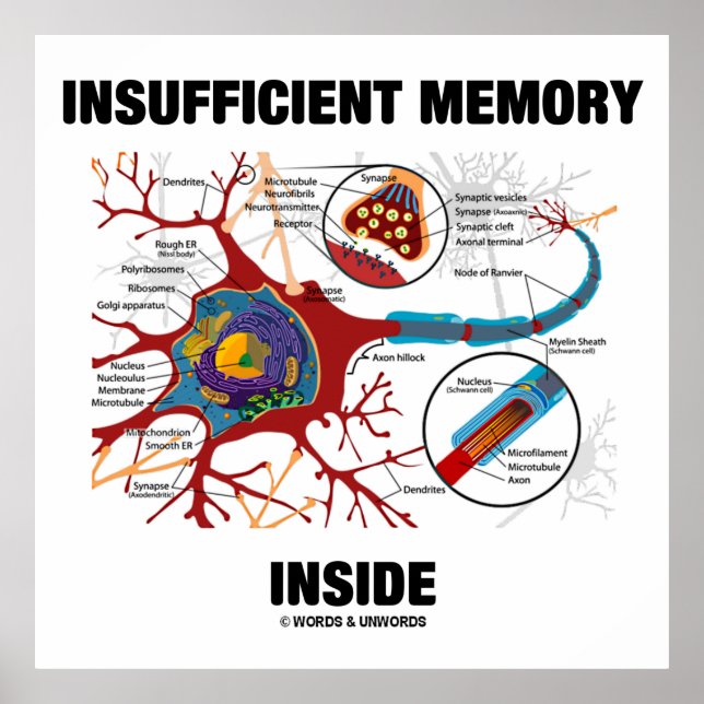 Poster Mémoire intérieure insuffisante (Neuron / Synapse) (Devant)