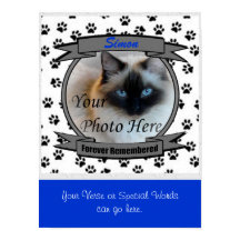 Mémorial du chat pour toujours souvenir - Homme an