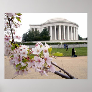 Poster Mémorial Thomas Jefferson avec cerisiers en fleurs