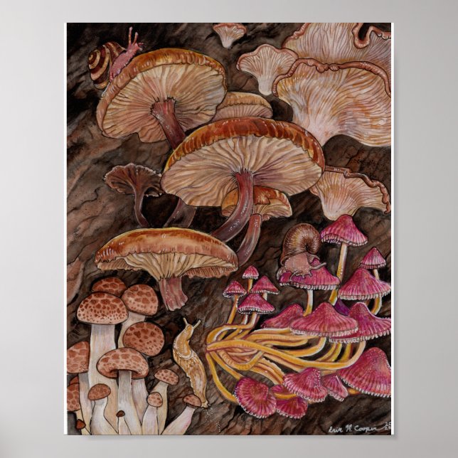 Poster Ménagerie de champignons (Devant)