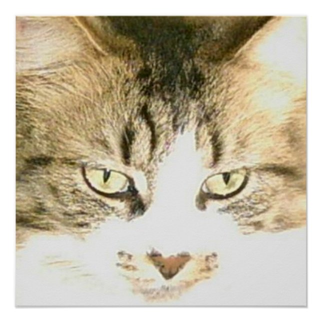 Poster Meow Cats 14 (Devant)