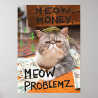 Meow Money, Meow Problemz
