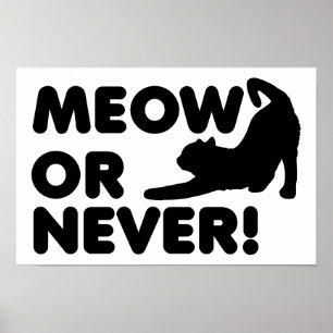 Poster Meow or Never Funny