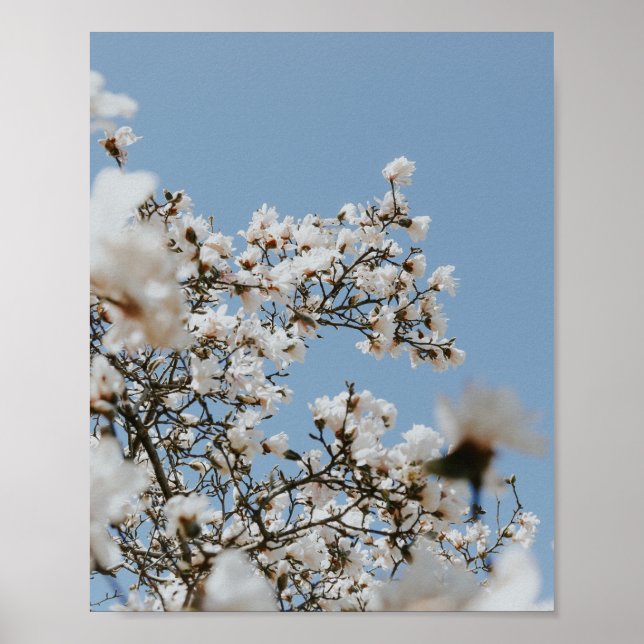 Poster mer à fleurs blanches (Devant)