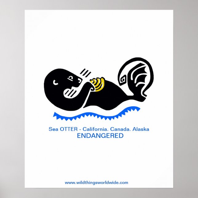 Poster Mer cool OTTER - Animal en voie de disparition - (Devant)