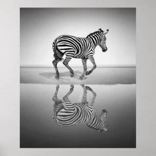 Poster Mer de la liberté