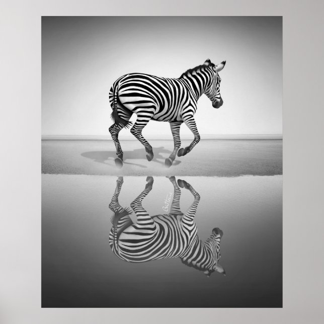 Poster Mer de la liberté (Devant)