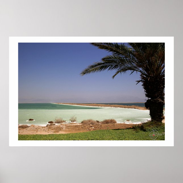 Poster Mer morte (Devant)