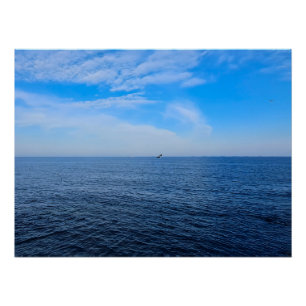 Poster Mer Noire calme Roumanie – Impression de mouettes