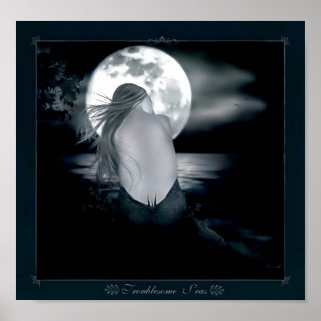 Poster Mer problématique (Devant)