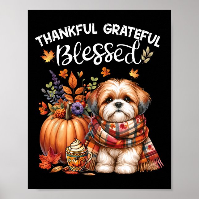 Poster Merci gracieux bienheureux Chih Tzu Chien Chute Y' (Devant)